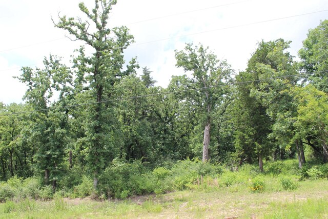 TRACT164 Private Road 1311, Centerville, TX 75833 - photo 25