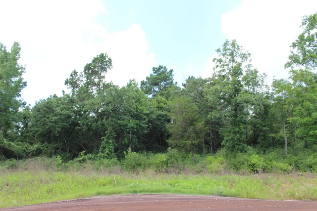 TRACT164 Private Road 1311, Centerville, TX 75833 - photo 13