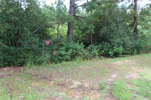 TRACT164 Private Road 1311, Centerville, TX 75833 - photo 14