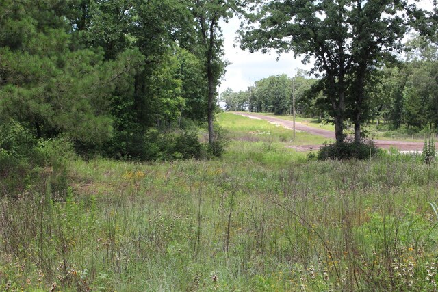 TRACT164 Private Road 1311, Centerville, TX 75833 - photo 15