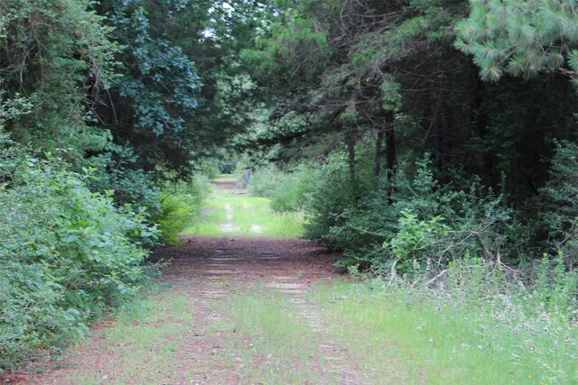 TRACT164 Private Road 1311, Centerville, TX 75833 - photo 16