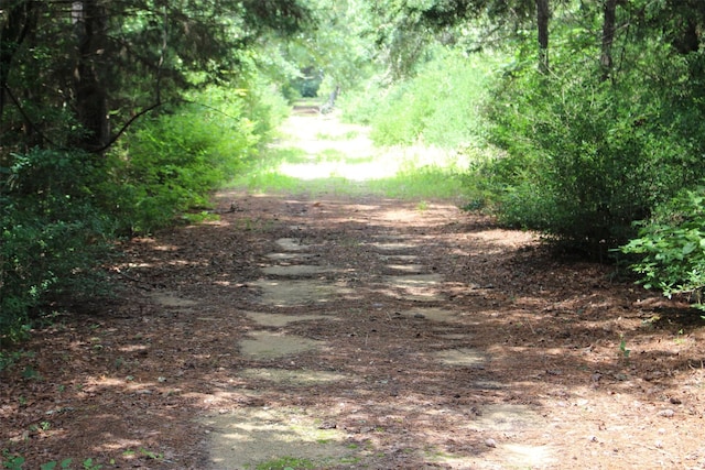 TRACT164 Private Road 1311, Centerville, TX 75833 - photo 17