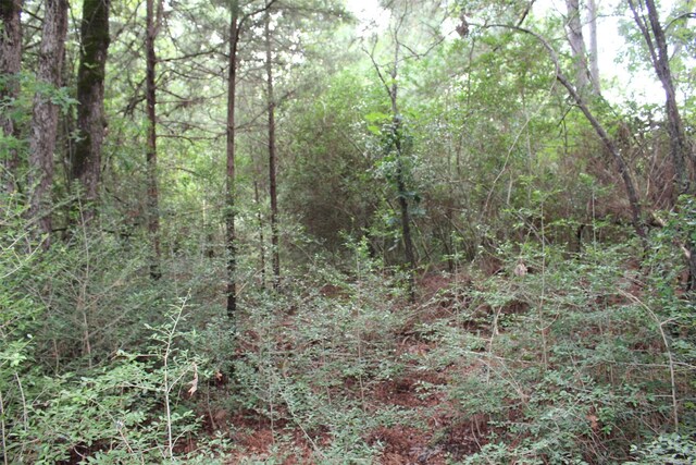 TRACT164 Private Road 1311, Centerville, TX 75833 - photo 18