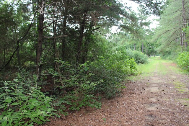 TRACT164 Private Road 1311, Centerville, TX 75833 - photo 19