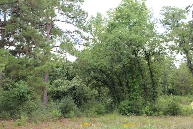 TRACT164 Private Road 1311, Centerville, TX 75833 - photo 20