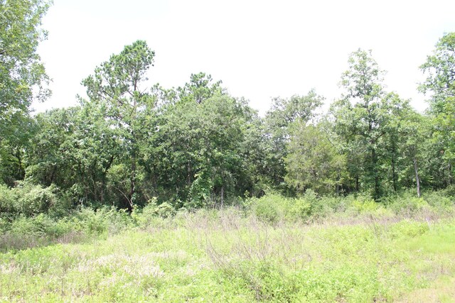 TRACT164 Private Road 1311, Centerville, TX 75833 - photo 21
