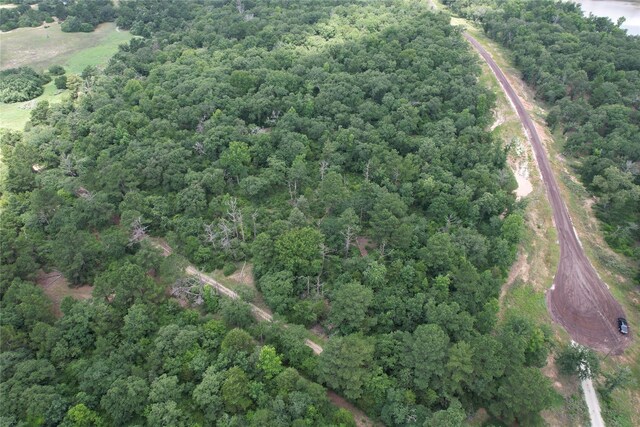 TRACT164 Private Road 1311, Centerville, TX 75833 - photo 29