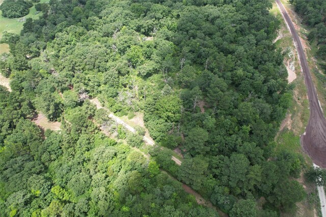 TRACT164 Private Road 1311, Centerville, TX 75833 - photo 30