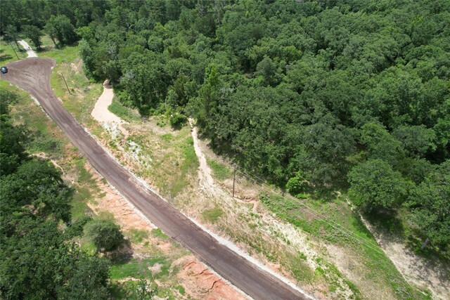 TRACT164 Private Road 1311, Centerville, TX 75833 - photo 31