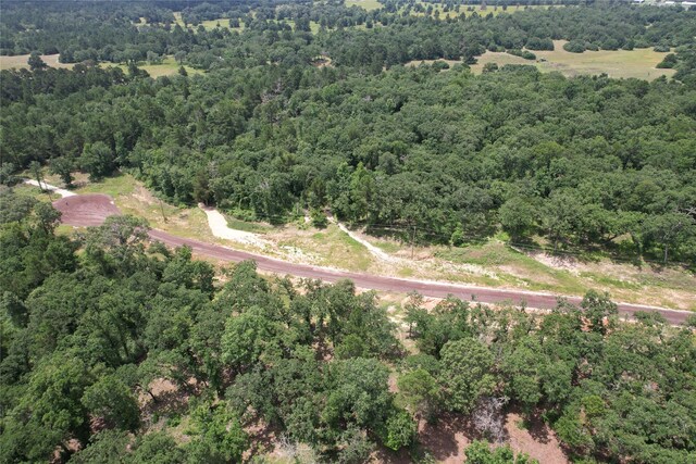TRACT164 Private Road 1311, Centerville, TX 75833 - photo 32