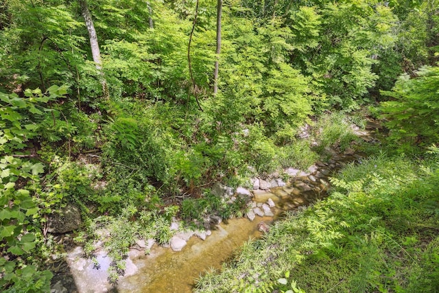 333 Sugarberry Cir, Houston, TX 77024 - view of local wilderness