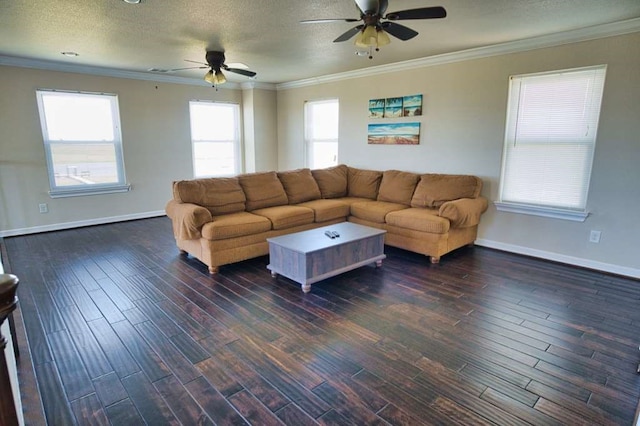 2028 County Road 201, Sargent, TX 77414 - living area featuring a ceiling fan, dark wood finished floors, ornamental molding, and a textured ceiling