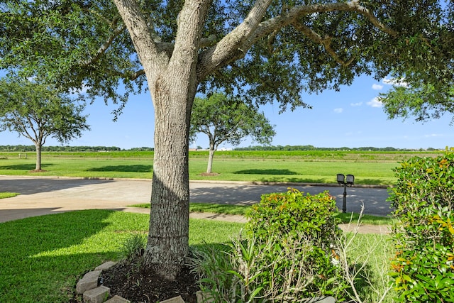 14214 Ayers Rock Rd, Sugar Land, TX 77498 - photo 35