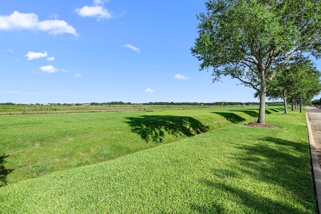 14214 Ayers Rock Rd, Sugar Land, TX 77498 - photo 36