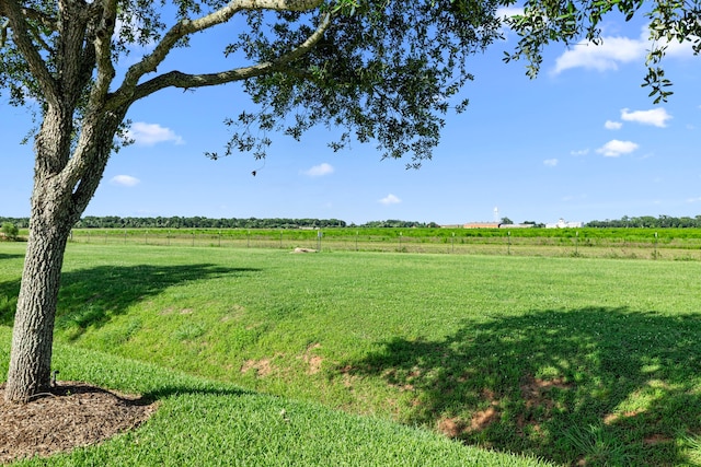 14214 Ayers Rock Rd, Sugar Land, TX 77498 - photo 37