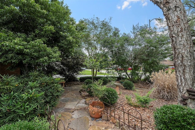 2114 Saxon Dr, Houston, TX 77018 - view of yard