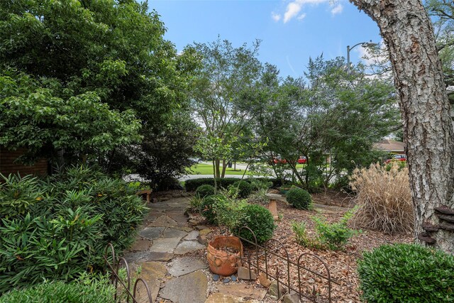 2114 Saxon Dr, Houston, TX 77018 - view of yard