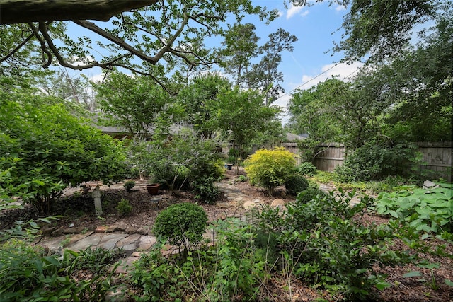2114 Saxon Dr, Houston, TX 77018 - view of yard