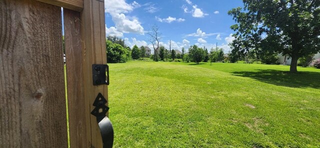 14027 Ambrose St, Houston, TX 77045 - view of green lawn