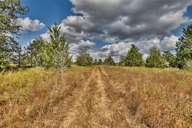 4233 Opersteny Rd, Bryan, TX 77808 - photo 10