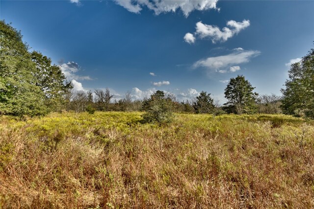 4233 Opersteny Rd, Bryan, TX 77808 - photo 11