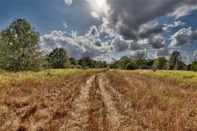 4233 Opersteny Rd, Bryan, TX 77808 - photo 12