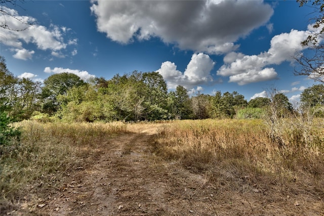 4233 Opersteny Rd, Bryan, TX 77808 - photo 14