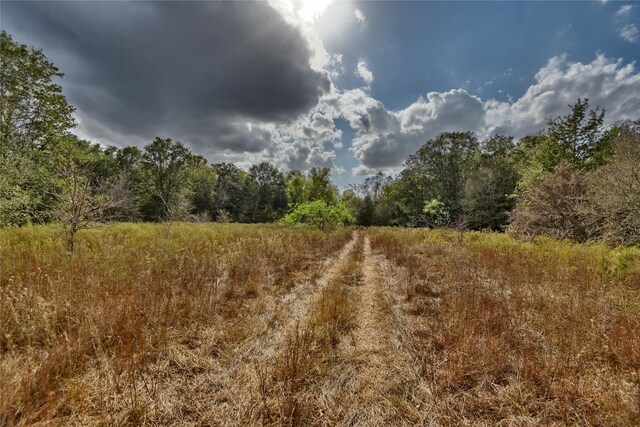 4233 Opersteny Rd, Bryan, TX 77808 - photo 15
