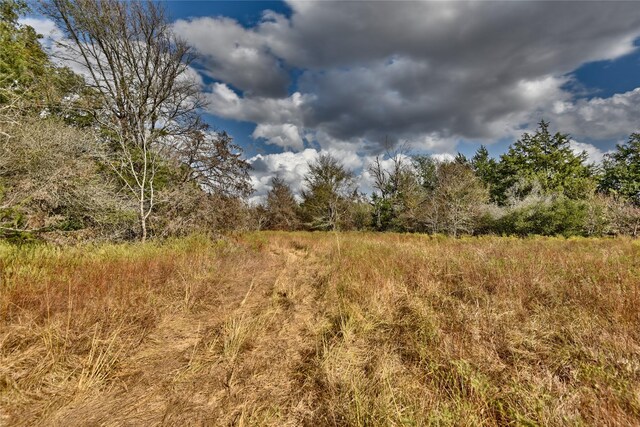 4233 Opersteny Rd, Bryan, TX 77808 - photo 16
