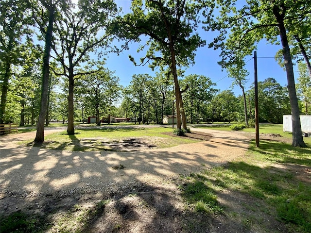 172 Pine Needle St, Onalaska, TX 77360 - photo 5