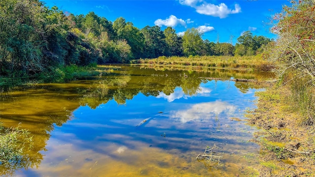 1TBD County Road 2780, Woodville, TX 75979 - photo 2