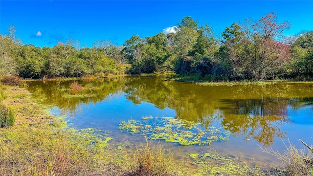 1TBD County Road 2780, Woodville, TX 75979 - photo 3