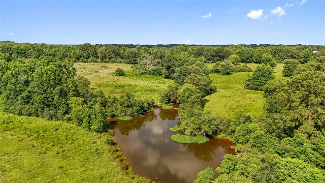1TBD County Road 2780, Woodville, TX 75979 - photo 5