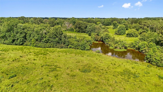 1TBD County Road 2780, Woodville, TX 75979 - photo 6