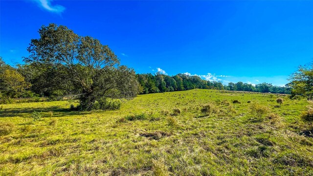 1TBD County Road 2780, Woodville, TX 75979 - photo 8