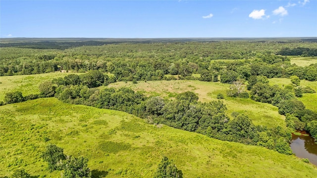 1TBD County Road 2780, Woodville, TX 75979 - photo 20