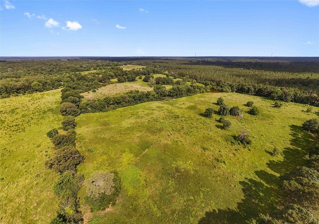 1TBD County Road 2780, Woodville, TX 75979 - photo 18