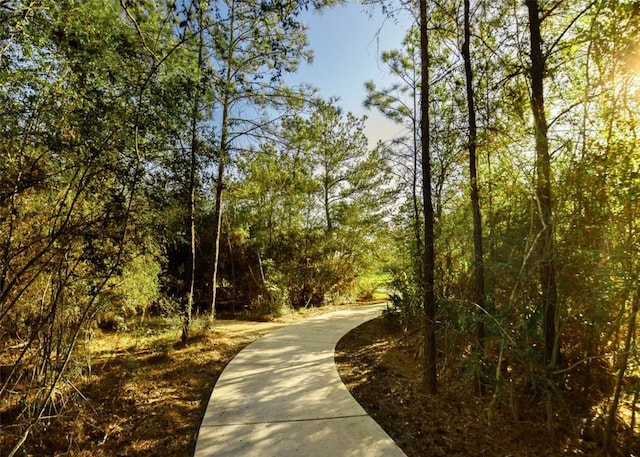 16863 Big Reed Dr, Humble, TX 77346 - view of community with a view of trees