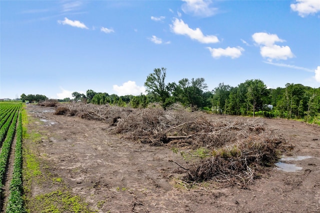 0 Modena School Rd, Rosenberg, TX 77471 - photo 16