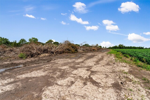 0 Modena School Rd, Rosenberg, TX 77471 - photo 20