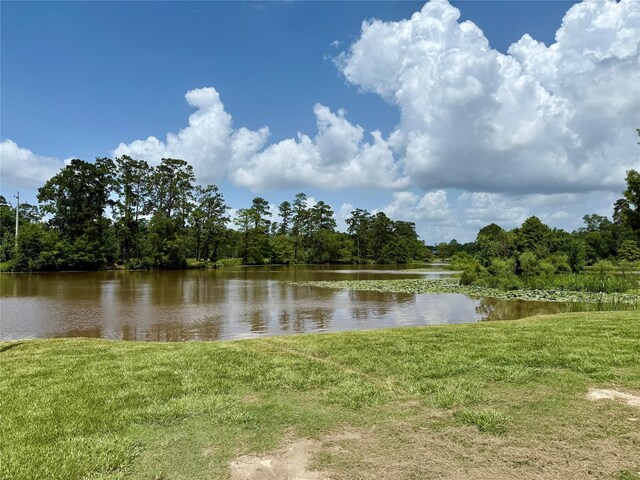155 W Lake Dr, Houston, TX 77336 - photo 16