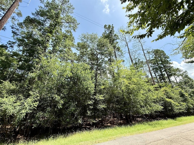155 W Lake Dr, Houston, TX 77336 - photo 7
