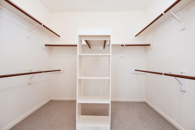150 Nina Ln, Stafford, TX 77477 - walk in closet featuring carpet