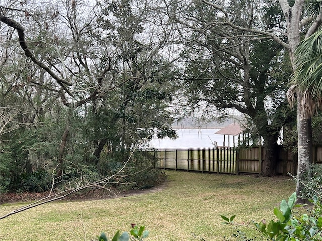 1115 Woodbank Dr, Seabrook, TX 77586 - view of yard