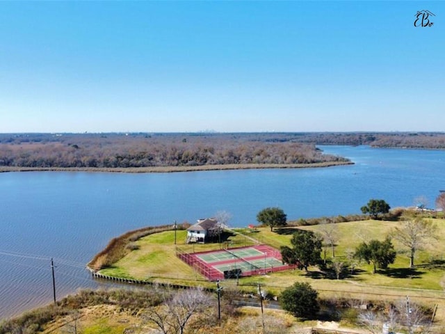 1115 Woodbank Dr, Seabrook, TX 77586 - water view