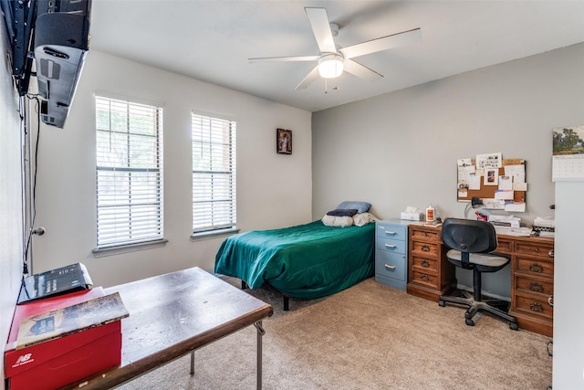 1220 Spicewood, Schertz, TX 78154 - photo 10