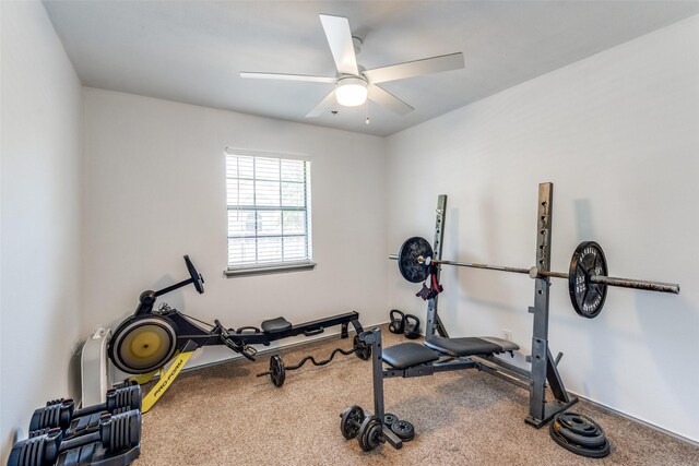 1220 Spicewood, Schertz, TX 78154 - photo 12