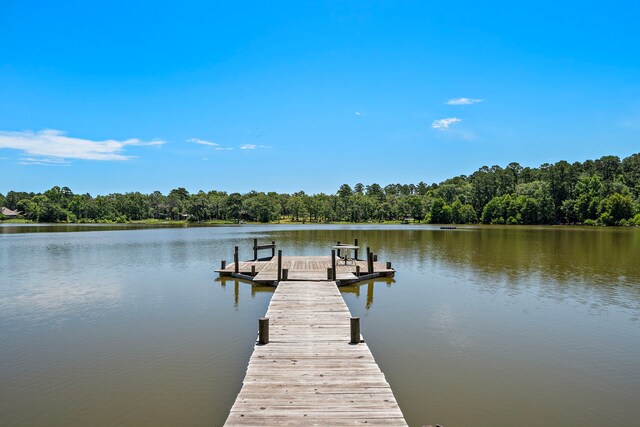 638 W Lakeview Dr, Trinity, TX 75862 - photo 20