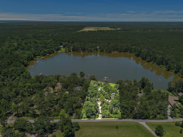 638 W Lakeview Dr, Trinity, TX 75862 - photo 21