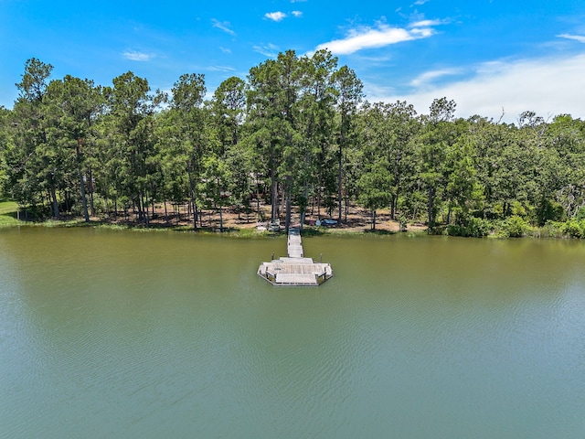 638 W Lakeview Dr, Trinity, TX 75862 - photo 23